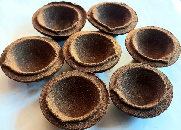 Panchgavya Biodegradable Diya's ( Bulk Quantity )