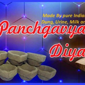 Panchgavya Diya 51 pieces